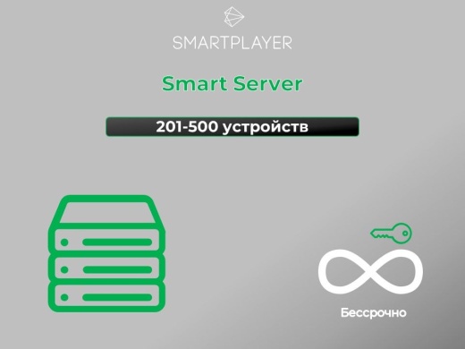 Сервер SmartPlayer на 201-500 устройств