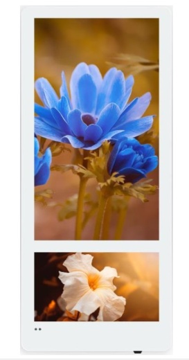 Информационный дисплей BOE EC1910A