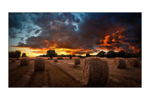 Дисплей для видеостен Samsung VM46T-U