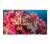 Дисплей для видеостен EliteBoard BB558FCBED Дисплей для видеостен EliteBoard BB558FCBED
