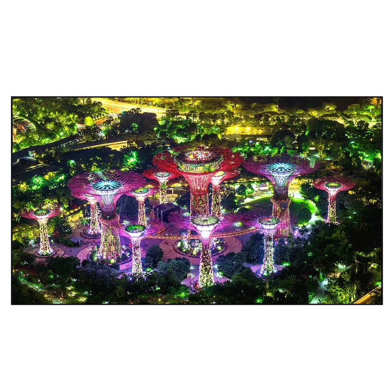 Дисплей для видеостен EliteBoard SK555FCLN